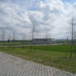 Felegara di Medesano - Lotti